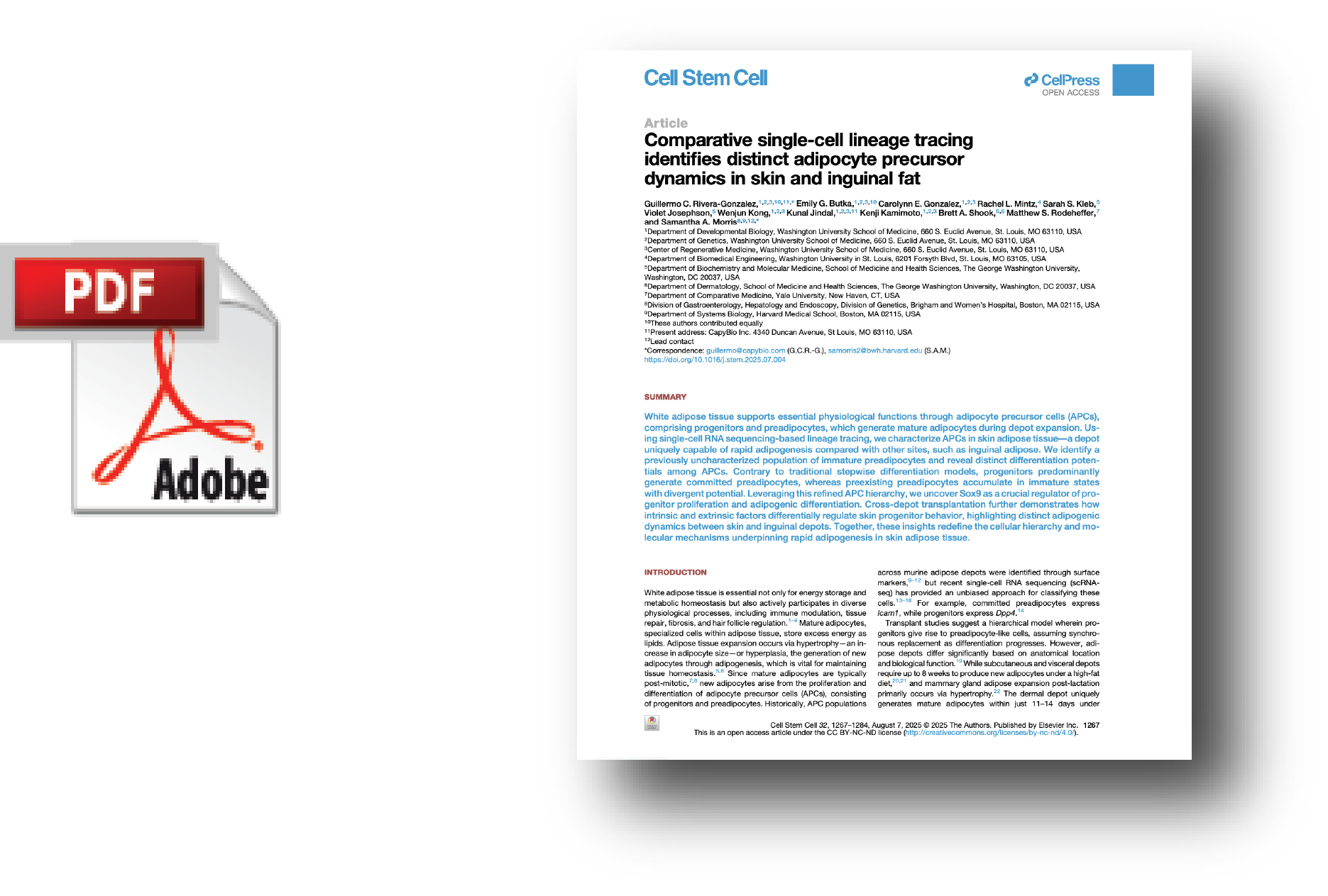 BioRxiv Paper