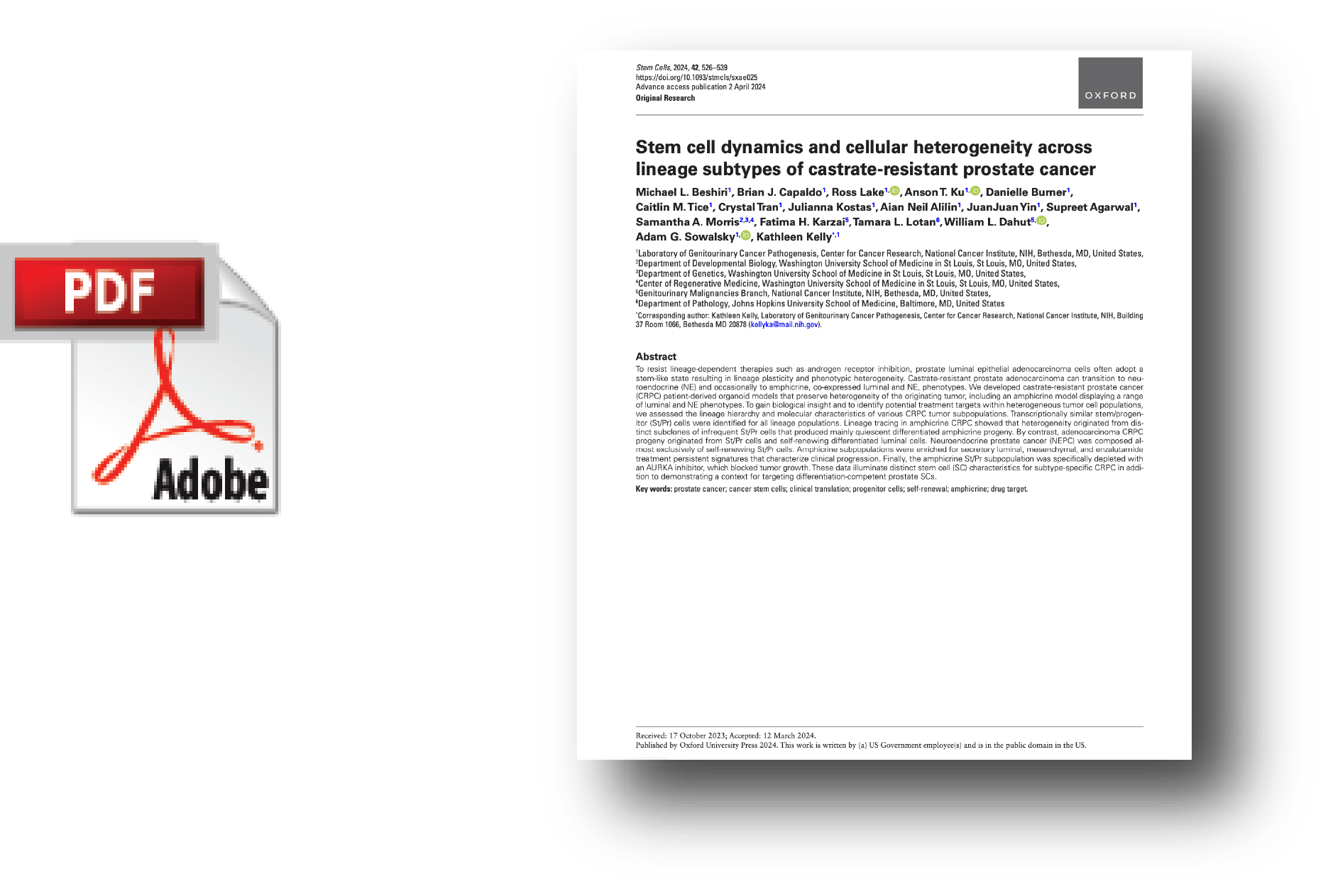 BioRxiv Paper